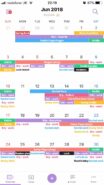 month view in TimeTree app