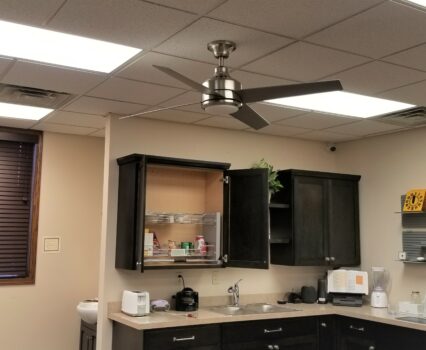 Fargo Smart Home Ceiling Fan