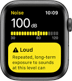 Face of watch in Noise app