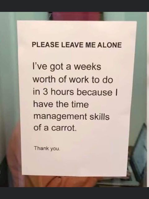 Picture of text reads: Please let me alone. I've got a weeks worth of work to do in 3 hours because i have the time management skills of a carrot.