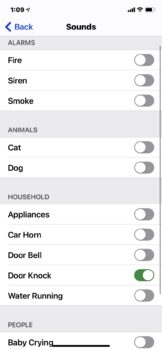 screen shot of iPhone sound recognition menu