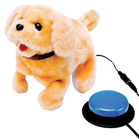 Switch adapted dog toy